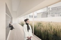 20240115_Ferdinandeum Persp 06.jpg