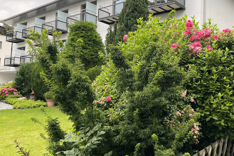 Ruefestr9_Vaduz_4
