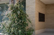 Groß (ERDEN_Buchs_Groffeldgasse_cbyHannoMackowitz-_HMA7161-min).jpeg Groß (ERDEN_Buchs_Groffeldgasse_cbyHannoMackowitz-_HMA7161-min).jpeg