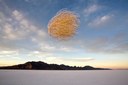 national-geographic-rarely-seen5.jpg