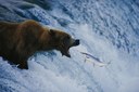 NationalGeographic_679001.jpg