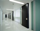240-Patho-01.jpg